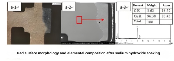 Pad surface morphology and elemental composition after sodium hydroxide soaking.jpg