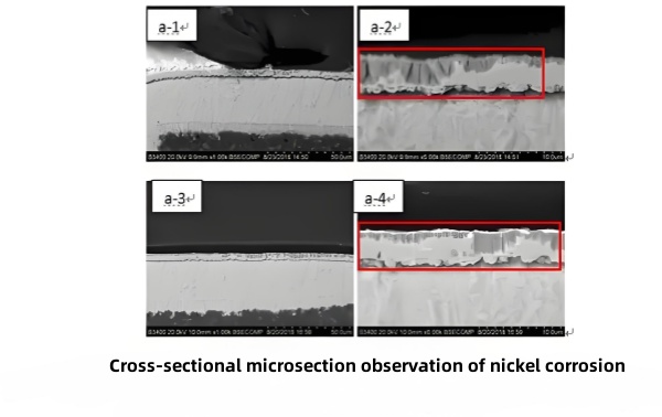 Cross-sectional microsection observation of nickel corrosion.jpg